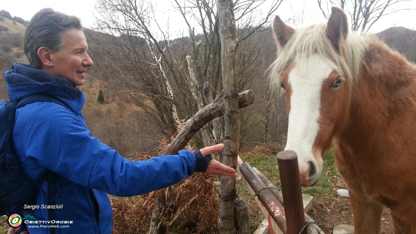 04 Cavallo di guardia al passaggio.jpg